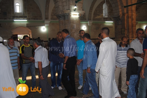 qerm ramla 3ed (7).JPG